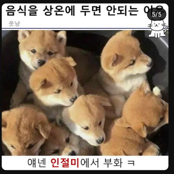 음식을 상온에 두면 안되는 이유