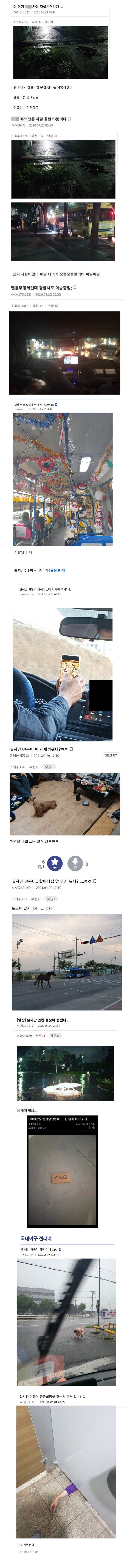 이거 뭐냐? 모음집